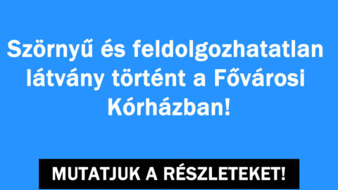 Nem hétköznapi látvány volt!