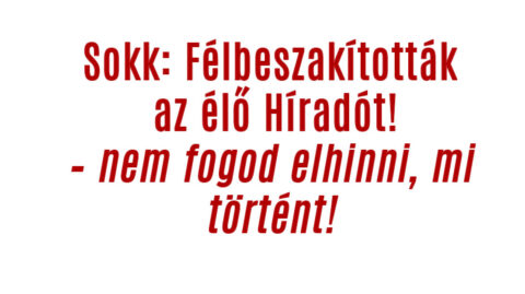 Sokk: Félbeszakították az élő Híradót!