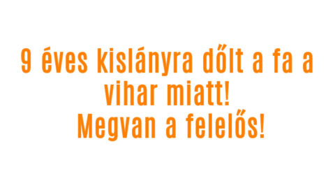 9 éves kislányra dőlt a fa a vihar miatt! Ő a felelős!