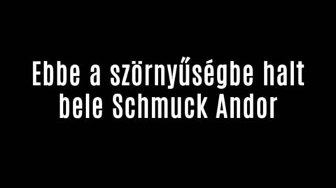 Ebbe a szörnyűségbe halt bele Schmuck Andor