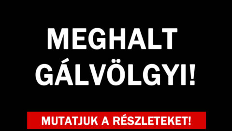 Meghalt Gálvölgyi!