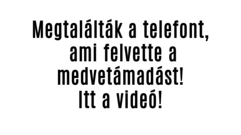 Megtalálták a telefont, ami felvette a medvetámadást!