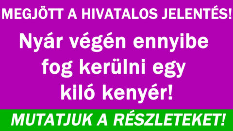 Nyár végén ennyibe fog kerülni egy kiló kenyér!