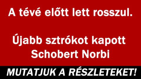A tévé előtt lett rosszul. Újabb sztrókot kapott Schobert Norbi