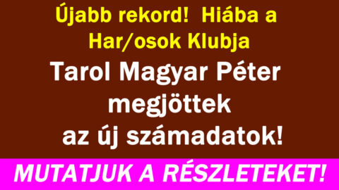 Újabb rekord Magyar Péter tarol!