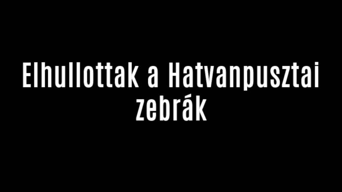 Elhullottak a Hatvanpusztai zebrák