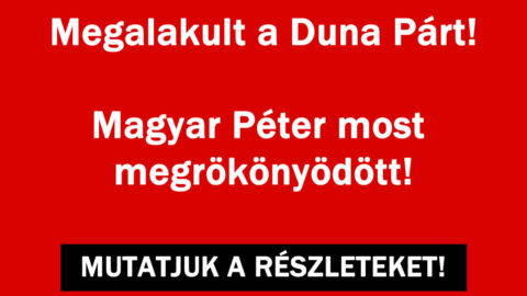 Megalakult a Duna Párt!