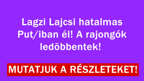 A rajongók ledöbbentek!