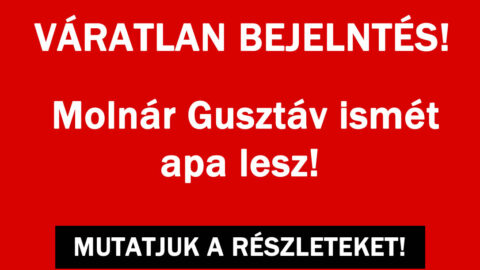 Most tényleg sikerülhet Molnár Gusztávnak