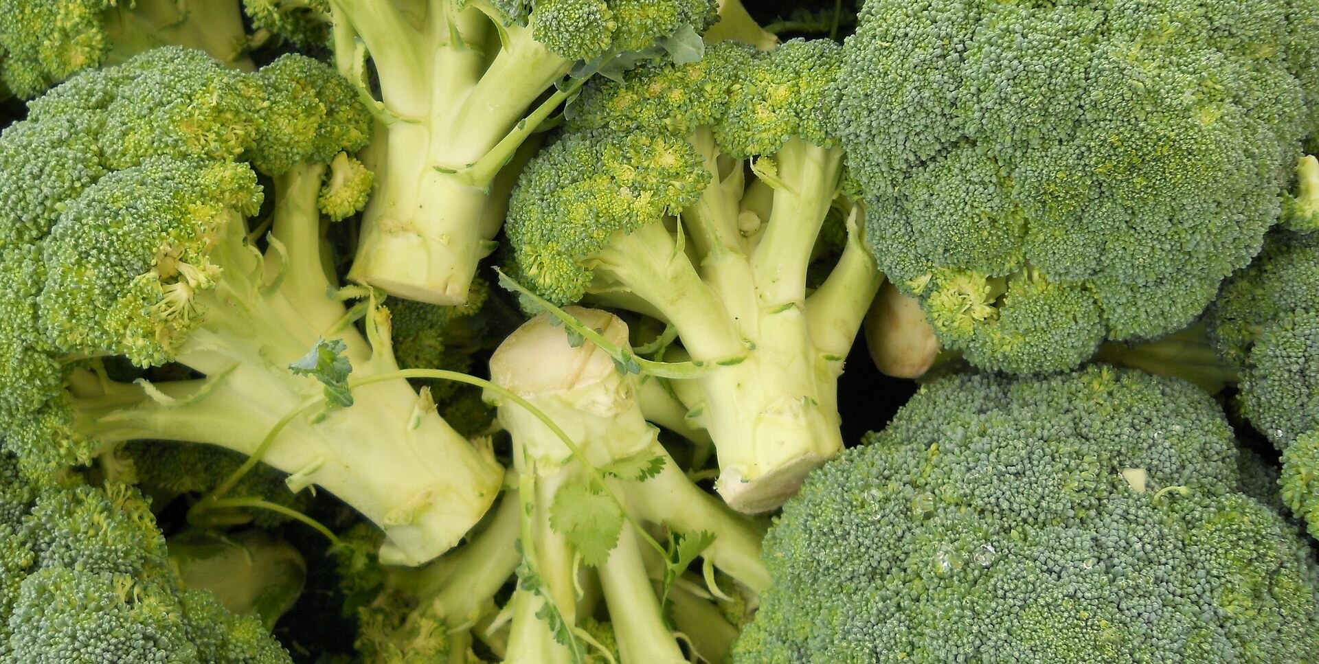 Vajon Te is rosszul készítetted eddig a brokkolit? + Videó!