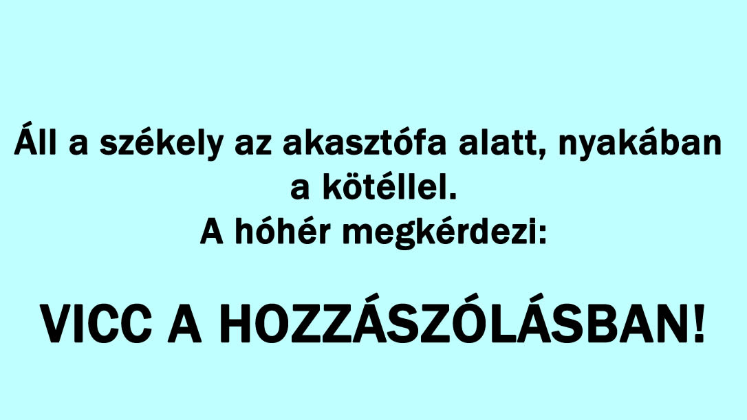 Vicc: Áll a székely az akasztófa alatt…