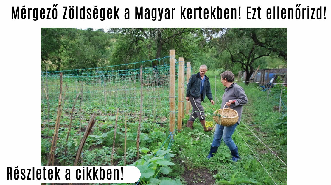 Mérgező Zöldségek a Magyar kertekben! Ezt ellenőrizd!