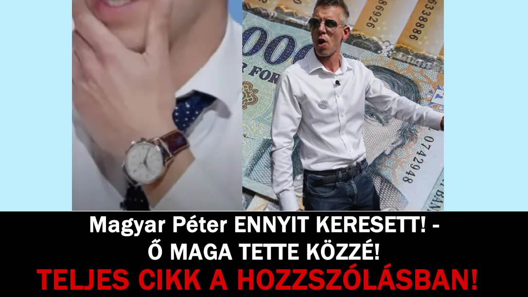 Magyar Péter ENNYIT KERESETT! – Ő MAGA TETTE KÖZZÉ!