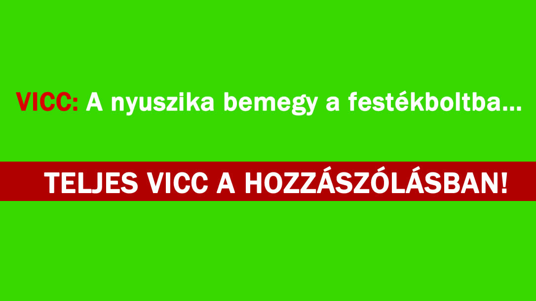 VICC: A nyuszika bemegy a festékboltba…