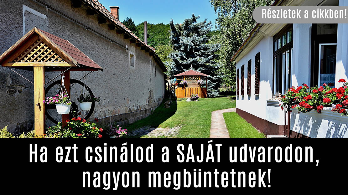 Ha ezt csinálod a SAJÁT udvarodon, nagyon megbüntetnek!