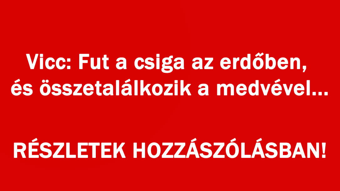 Vicc: Fut a csiga az erdőben, és összetalálkozik a medvével…