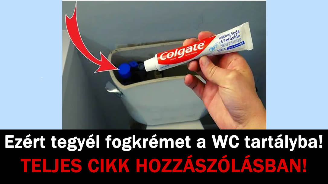 Ezért tegyél fogkrémet a WC tartályba!