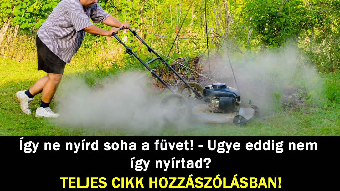 Így ne nyírd soha a füvet! – Ugye eddig nem így nyírtad?