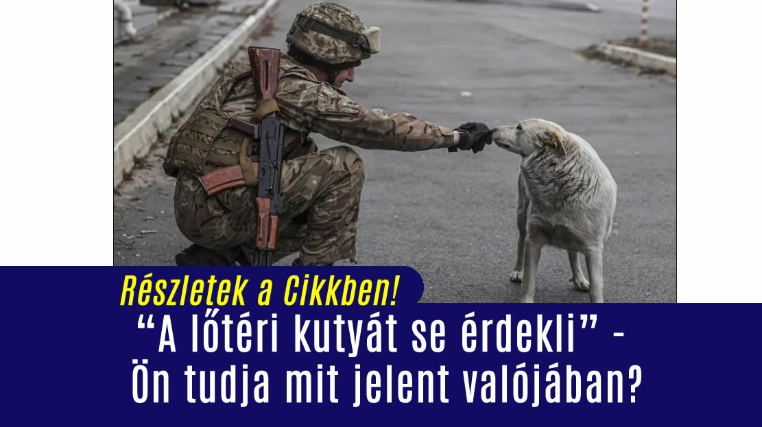 „A lőtéri kutyát se érdekli” – Ön tudja mit jelent valójában?