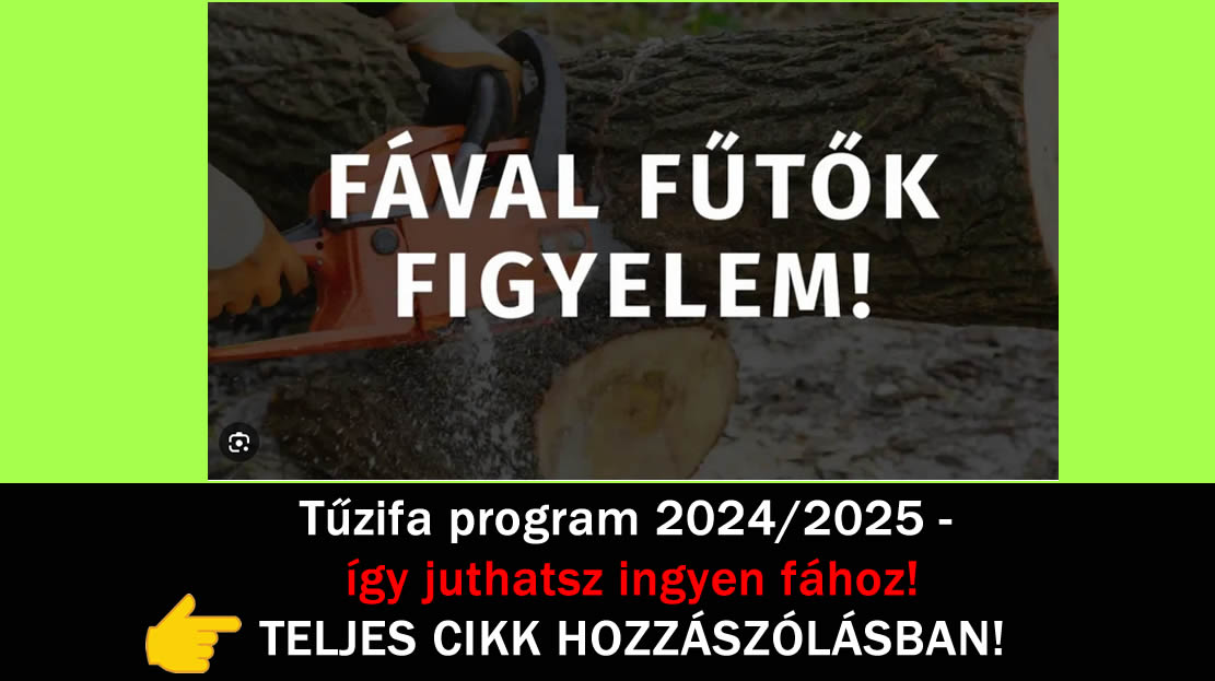 Tűzifa program 2024/2025 – így juthatsz ingyen fához!