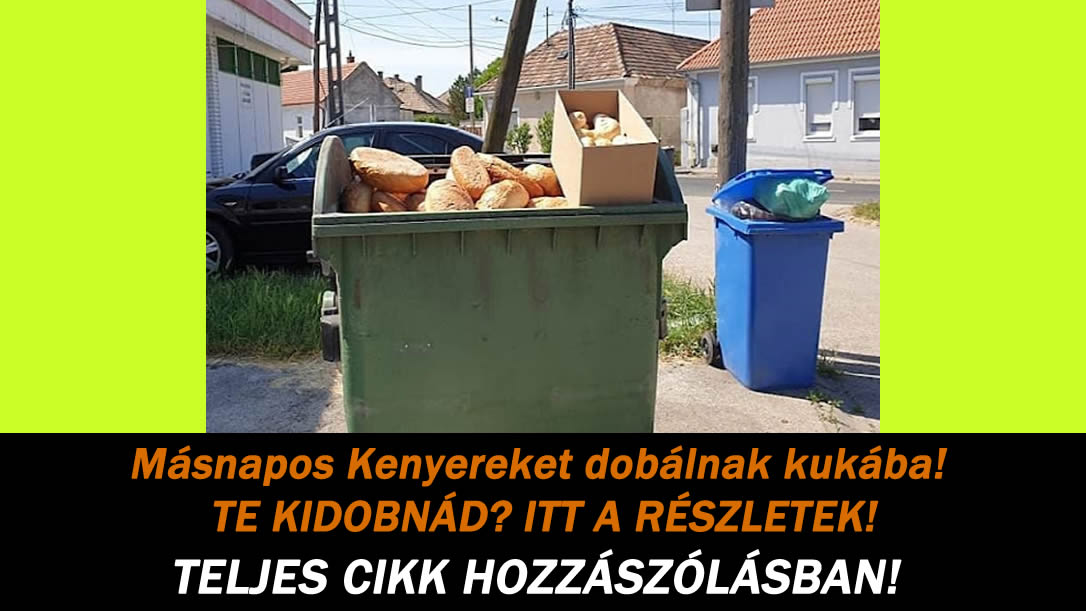 Másnapos Kenyereket dobálnak kukába! TE KIDOBNÁD? ITT A RÉSZLETEK!