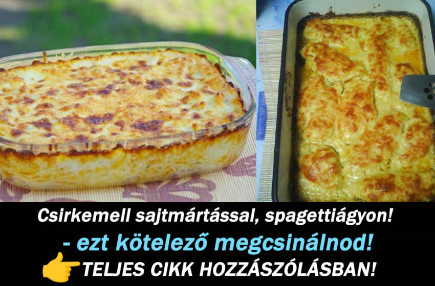 Csirkemell sajtmártással, spagettiágyon! – ezt kötelező megcsinálnod!