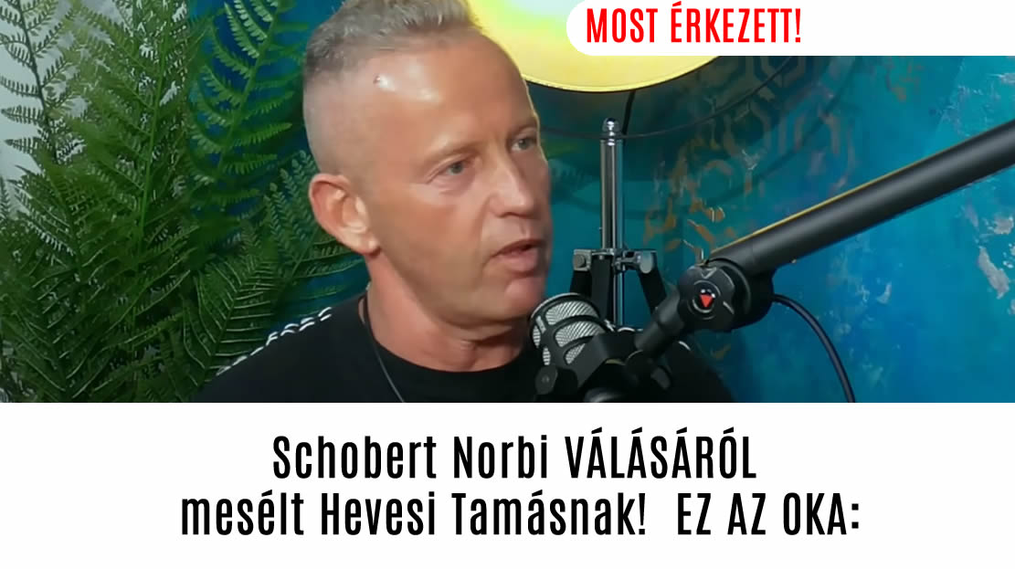 Schobert Norbi VÁLÁSÁRÓL mesélt Hevesi Tamásnak!  EZ AZ OKA: