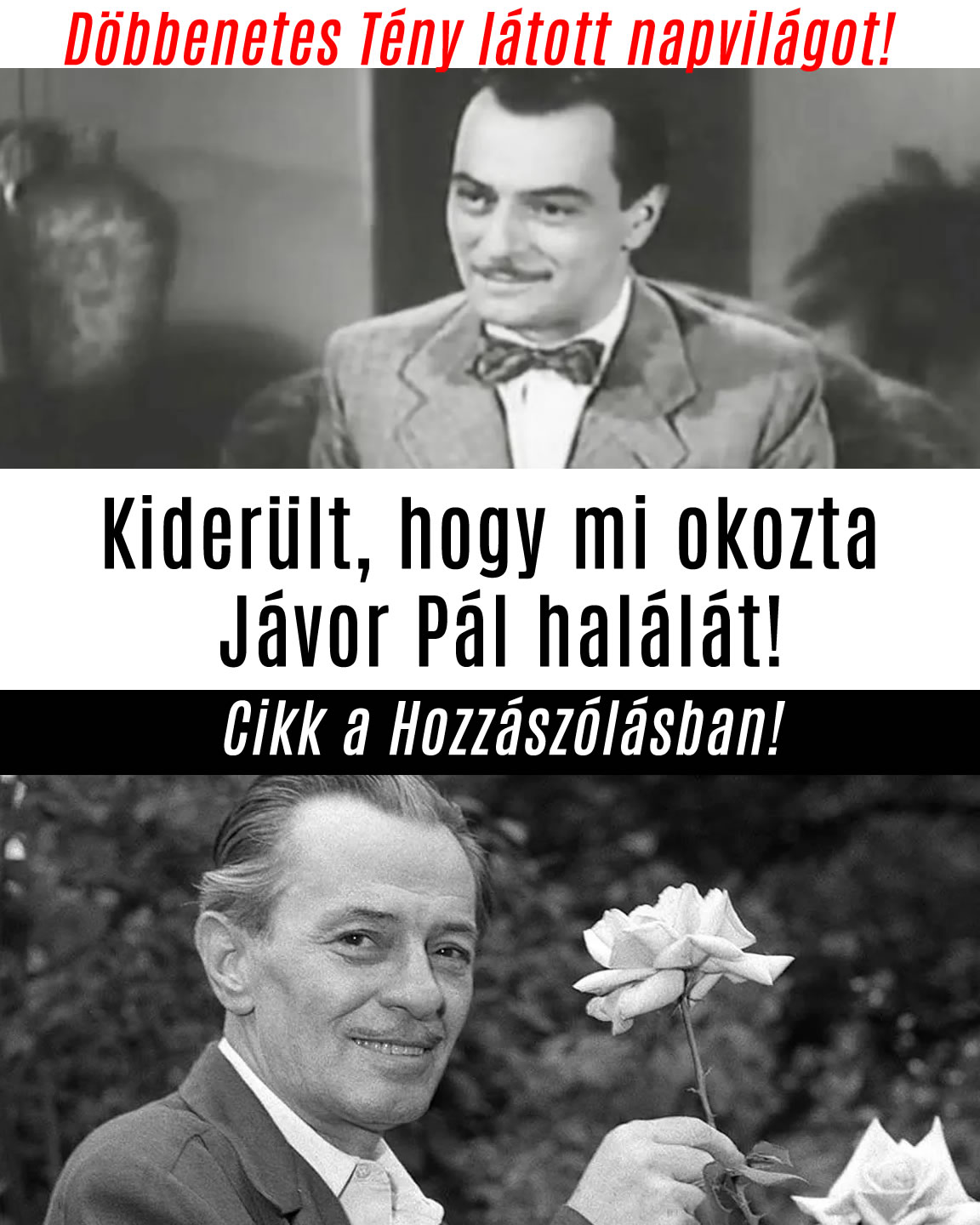 Kiderült, hogy mi okozta Jávor Pál halálát!