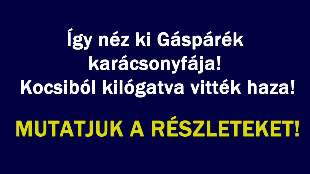 Így néz ki Gáspárék karácsonyfája! Kocsiból kilógatva vitték haza!