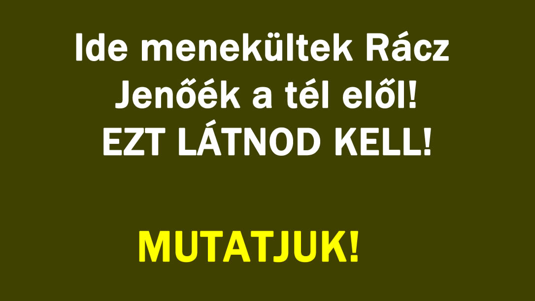 Ide menekültek Rácz Jenőék a tél elől! EZT LÁTNOD KELL!