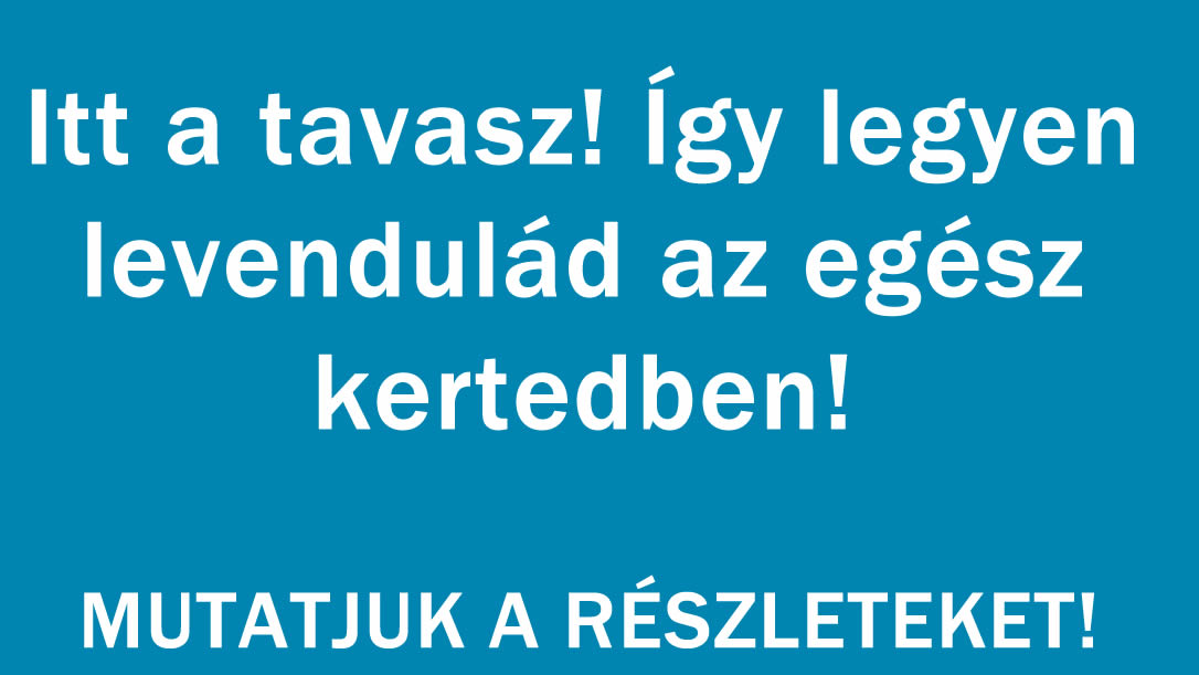 Itt a tavasz! Így legyen levendulád az egész kertedben!