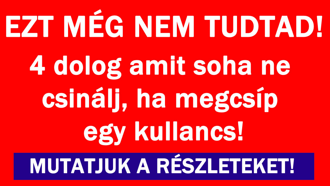 4 dolog amit soha ne csinálj, ha megcsíp egy kullancs!