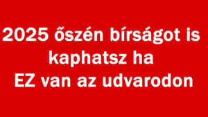 2025 őszén bírságot is kaphatsz ha EZ van az udvarodon