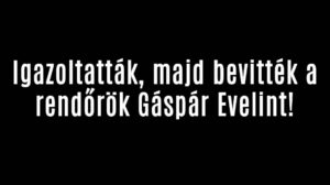 Igazoltatták, majd bevitték a rendőrök Gáspár Evelint!