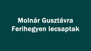 Molnár Gusztávra Ferihegyen lecsaptak