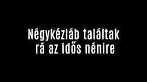 Négykézláb találtak rá az idős nénire