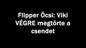 Flipper Öcsi: Viki VÉGRE megtörte a csendet