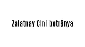 Zalatnay Cini durván kiosztotta Magyar Pétert