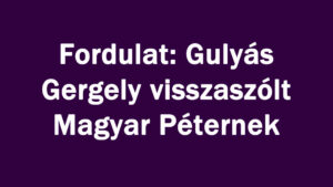 Fordulat: Gulyás Gergely Magyar Péternek