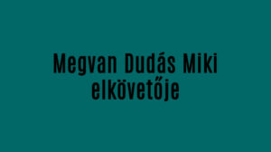 Megvan Dudás Miki elkövetője