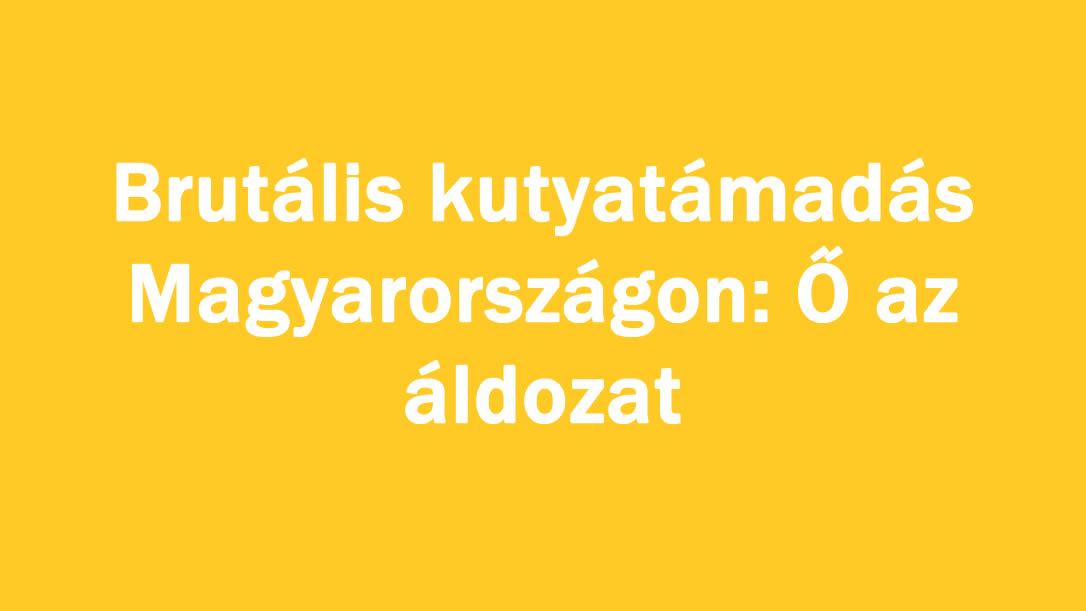 Brutális kutyatá/adás Magyarországon: Ő az áldozat