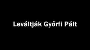 Leváltják Győrfi Pált
