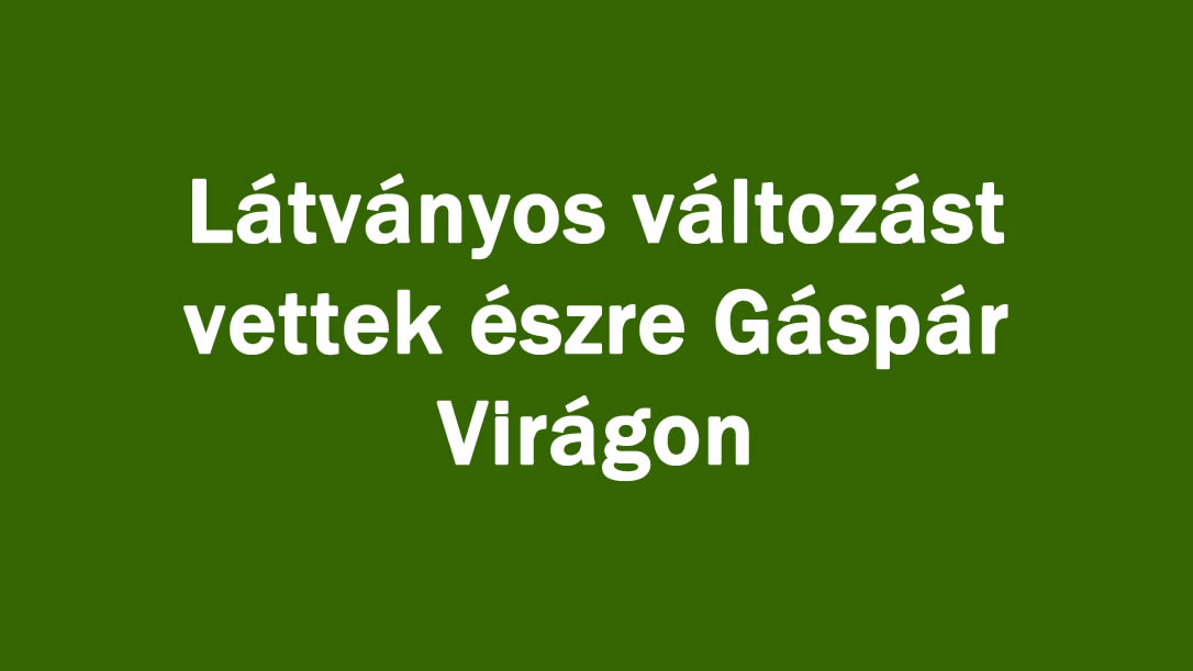 Látványos változást vettek észre Gáspár Virágon