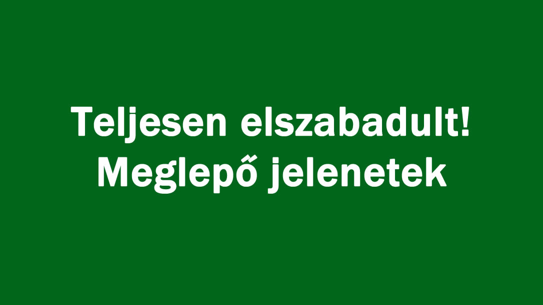 Teljesen elszabadult! Meglepő jelenetek